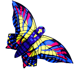 Butterfly Kite - Swallow Tail